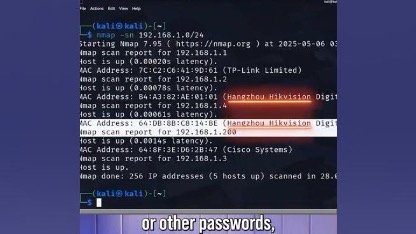 louvres-password-was-what